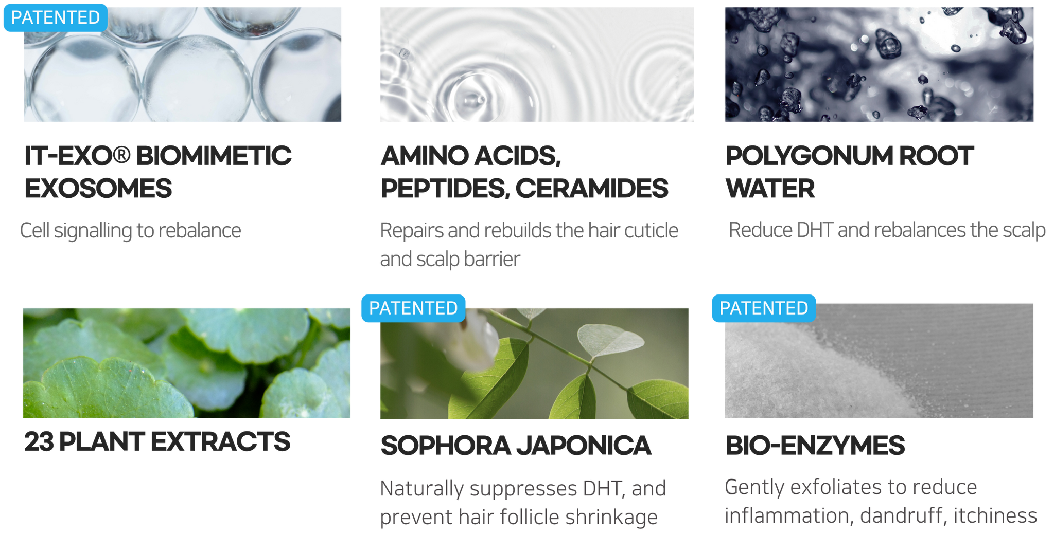 HAIR LOSS RECOVERY SET